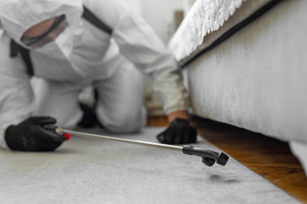 Professional Termite Control technician working in Elburn, IL