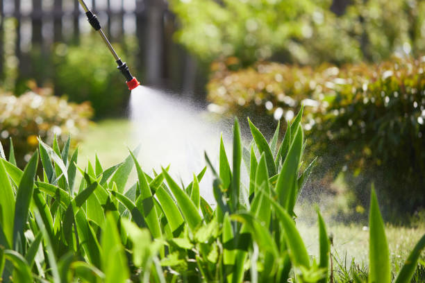 24/7 Emergency Termite Control experts in Elburn, IL