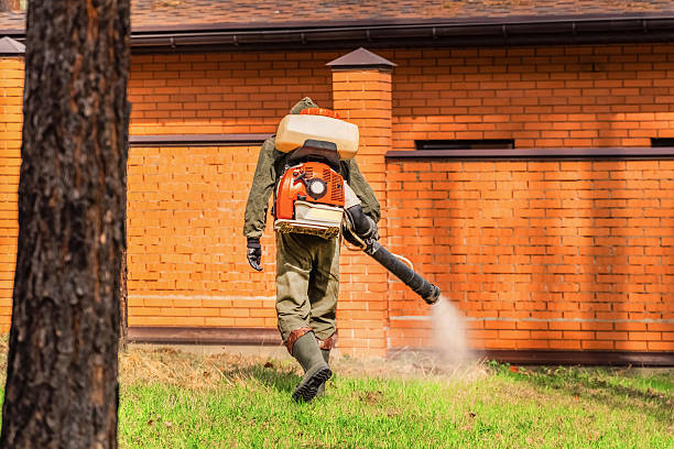 Trusted Cockroach Control service in Elburn, IL - Nex Pest Control